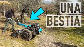 Preparare il TERRENO con il MOTOCOLTIVATORE 🚜