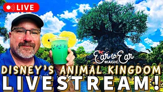 🔴LIVE - Disney Animal Kingdom Livestream - 10-03-22