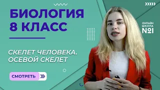 Скелет человека. Осевой скелет. Урок 9. Часть 1. Биология 8 класс