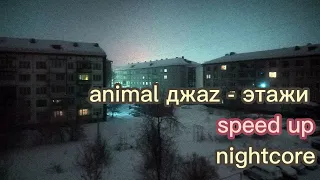 animal джаz  - этажи (speed up)