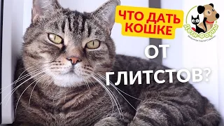 Что лучше дать кошке от глистов?