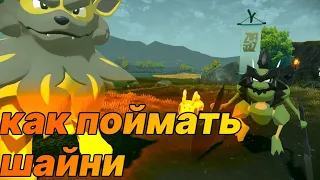 Как поймать шайни в Pokemon legend Arceus| Гайд