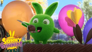 SUNNY BUNNIES - SWEET TREATS | HALLOWEEN WEEKEND COMPILATION | Cartoons for Kids