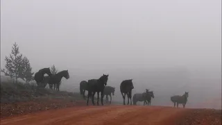 Наша малая родина Кижинга