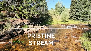Truck Camping Nirvana overlooking this Pristine Stream full of trout!  part 10