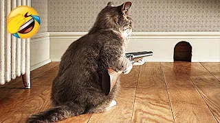 Try Not To Laugh With These Funny Pets😆 Funny Animals 2023😄Hilarious Cats and Dogs Videos🐶😸part 53
