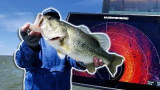 Boomer Dad Still Catching Bigs! Old School Fishing vs Modern Bass Tech