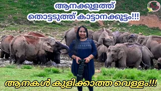 AANAKKULAM Elephant View Point | Munnar Letchmi Estate Mankulam Road | NoopsWorld