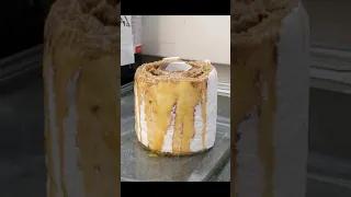 How to murder a roll of toilet paper with sulphuric acid... #chemistry #shorts