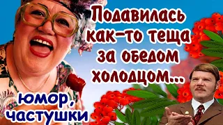 Супер частушки про тещу! Оригинальное исполнение! Обязательно посмотрите, таких вы еще не слышали!