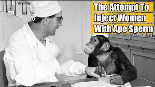 Human-Ape Breeding | Variety Facts