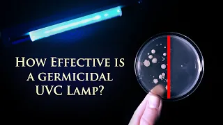 UVC Light or Ozone as a Disinfectant?