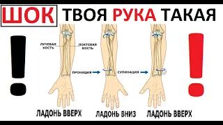 Лютые приколы. ШОК! Зацени свою руку!