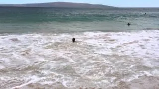 What not to do at Makena Beach Maui