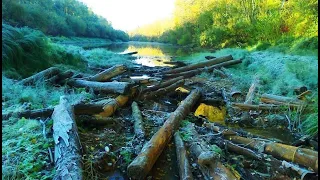 Лесной ручей в дебрях Сибирской тайги