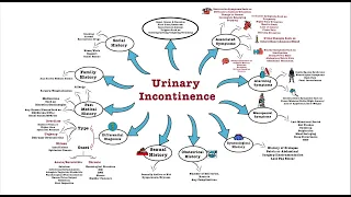 Urinary Incontinence - OSCE