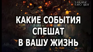 Какие события спешат в вашу жизнь🔥 расклад гадание таро