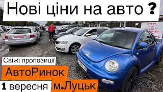 ПОПОВНЕННЯ АВТО❗️Луцький АвтоБазар❗️ЩО НОВОГО ❓1 вересня❗️АвтоПідбір під ключ❗️