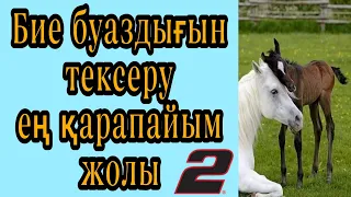 Бие буаздығын тексеру 2бөлім