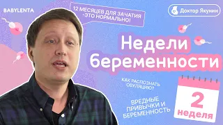 2 неделя беременности. Как распознать овуляцию, симптомы, ощущения, что происходит, вредные привычки