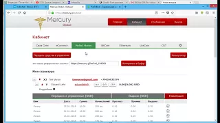 Меркурий что нужно делать что бы заработать деньги !