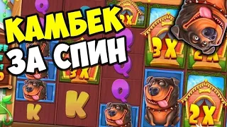 ПОЙМАЛ ЗАНОС КАМБЕКНУВ БАЛАНС В DOG HOUSE MEGAWAYS САМЫМ БОЛЬШИМ СПИНОМ В ИСТОРИИ