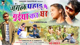 jangle pahad जंगल पहाड़ // Nagpuri video 2023 #singerchhotelal #nagpurisong #jangalpahad #stmusic
