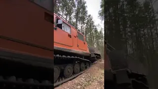 Переезжаем Дерево на BV-206🔥