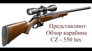 Обзор Карабина CZ-550 Lux. 4 года эксплуатации.