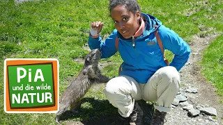 Abenteuer Hochgebirge | Reportage für Kinder | Pia und die wilde Natur