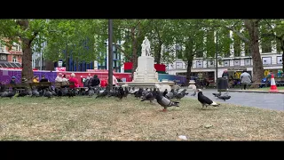 The Sounds of London from Leicester Square