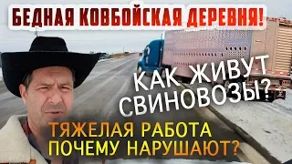 Бедная КОВБОЙСКАЯ деревня в США! ТЯЖЕЛАЯ РАБОТА СВИНОВОЗОВ! Почему они нарушают законы? Еда в траке