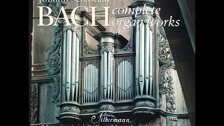 J. S. Bach - Complete Organ Works played on Silbermann Organs - CD 02/19