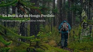 En Busca de un Hongo Perdido - Corto Documental