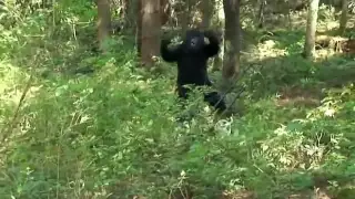 HOMEOWNER'S TERRIFYING BIGFOOT ENCOUNTER CAUGHT ON TAPE