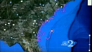 Website tracks sharks near Fla. coast