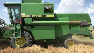 John Deere 1177 SII (S2) wheat harvest/žetva žita 2021 - 1