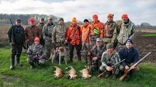 УДАЧНАЯ охота на лису с гончими 2020 / Полювання на лиса з гончаками / Fox hunting 2020