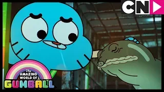 Gumball | The Watterson's Evil Turtle | Cartoon Network