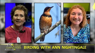 Coast Connections - Birding with Ann Nightingale March 2024