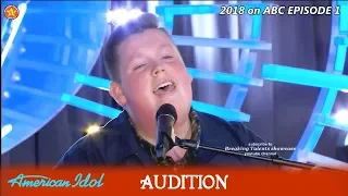Noah Davis (Wig) sings AMAZING "Stay" & Gets Hugs From Judges  Audition American Idol 2018 Episode 1