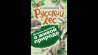 Библиотека 196 Литературные чтения рассказов  о живой природе из книги «Русский лес»  С вопросами и