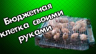 Эконом клетки для перепелов