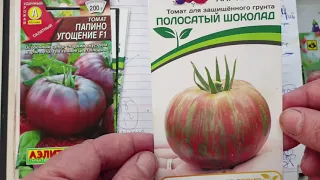 Разбор томатного урожая. Какие они элитные семена???