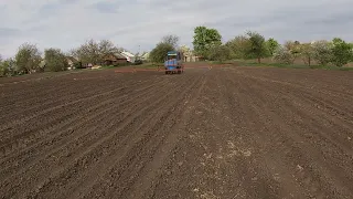 8 тавня досходий гербіцид на кукурузу