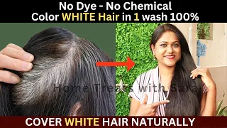 I Apply it on My White Hair & see the Magic | How to Color White Hair at Home Naturally 1 Wash
