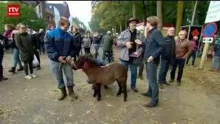 Paardenmarkt Zuidlaren drukker bezocht