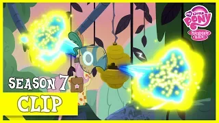 Fluttershy's Determination to Heal Zecora (A Health of Information) | MLP: FiM [HD]