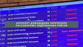 Аэропорт Домодедово переполнен пассажирами задержанных рейсов///