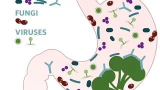 What's Up With Your Gut Microbiome? | California Academy of Sciences